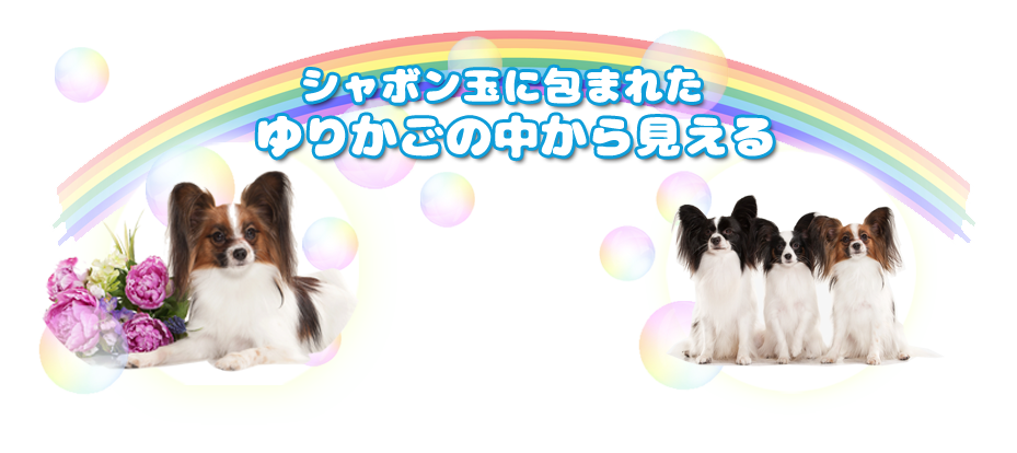 シャボン玉に包まれたゆりかごの中から見える